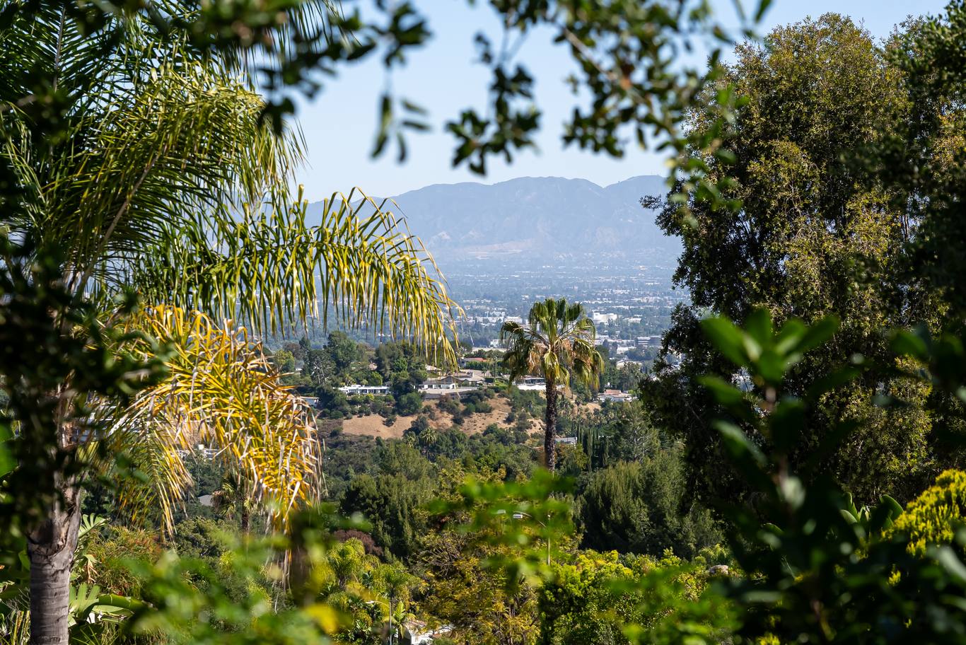 3371 Alana Drive
